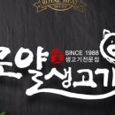 개성생고기 이미지