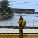 지민64 | 마부르크비자인터뷰, 노르웨이(트롬쇠, 오슬로) 4박5일 여행, 오로라 투어, 해저식당 후기, 크리스티안산