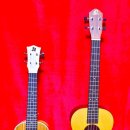 기타렐레(우쿨렐레) 이미지