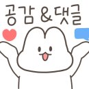 다담닭갈비 이미지