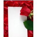 파라곤 풀빌라 이미지