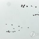 동림농장 이미지