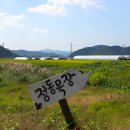 정동목장 이미지