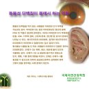 동물성 단백질이 몸에서 하는 역할 / 생활이침.홍채임상학 -최만규 교수- 이미지