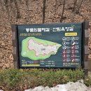 길머리 공원 | 과천 서울대공원 동물원 둘레길 탐방(4.5km) 유의사항