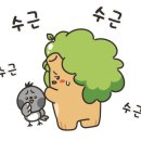 영남태권도장 이미지