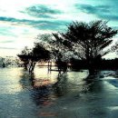 엘도라도 아마존 이미지