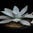 경석농장 이미지