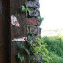 늘봄갈비 이미지