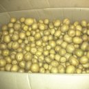 매일농장 이미지