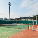 경상북도청 테니스장 | 고풍스러운 풍경 속 경상북도청 테니스장 예약 이용 후기