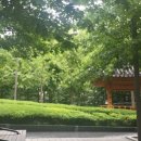 GS25 종로도렴점 이미지