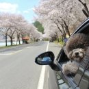 다사체육공원 이미지