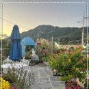 뜰안에 정원 이미지