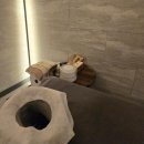 루미에르에스테틱 - 용산구 | 루미에르에스테틱