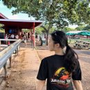 동양마트(주) 방화점 | [Hawaii🏝️🌈-Day.2] 쿠알로아 랜치, 마구로 스팟, 카이 커피 아사이볼