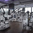 바디소나타 이미지