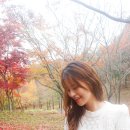 수목원피씨 이미지