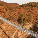 출렁다리(2) 이미지