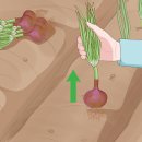 [겨울]생각톡과학실험B 이미지