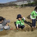 샘솔어린이집 이미지