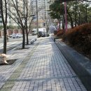 대불공원 이미지