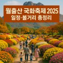 미소의료기 | 🌸 월출산 국화축제 2025 일정·볼거리 총정리