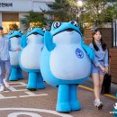 두꺼비포차 이미지