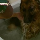 이상목농장 이미지