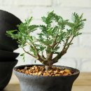 세나농장 이미지