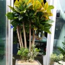 착한7주유소 이미지