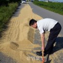 봉남파출소 이미지