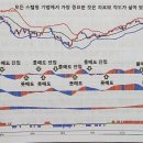 씽긋 이미지