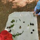 아이뜰유치원 이미지