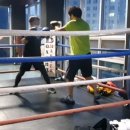 수년복싱체육관 이미지