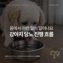 심동물병원 이미지