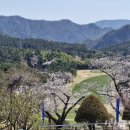 부경골프 이미지