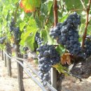 (주)오퍼스원 이미지