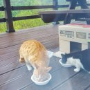 보현산자연휴양림 이미지