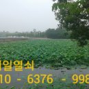 성환모터스 이미지