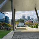 운중로225번길(판교공원로) 이미지