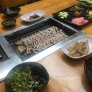 데일리 멍키친 이미지