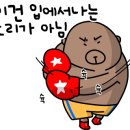 다이나복싱체육관 이미지