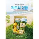 에어 뉴 부산투어 이미지