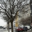 금똥구리 | 동유럽 신혼여행 7일차, 8일차 부다페스트 - parisi Udvar Hotel, 카와무라 라멘, 뉴욕 카페, 레트로...