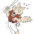 공동당구구역 이미지