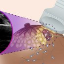 소중한유여성외과의원 이미지