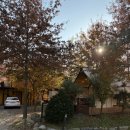 3040 당구장 이미지