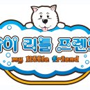 도그워시 이미지