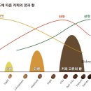 커피커피 이미지